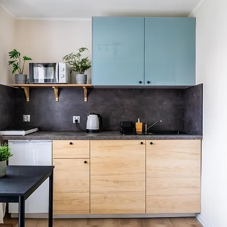 Novinea Z Balkonem I Ogrodem Apartment *